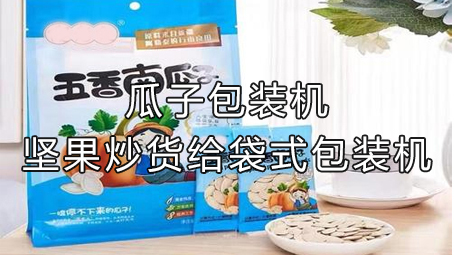 【休闲食品系列9】瓜子给袋式包装机