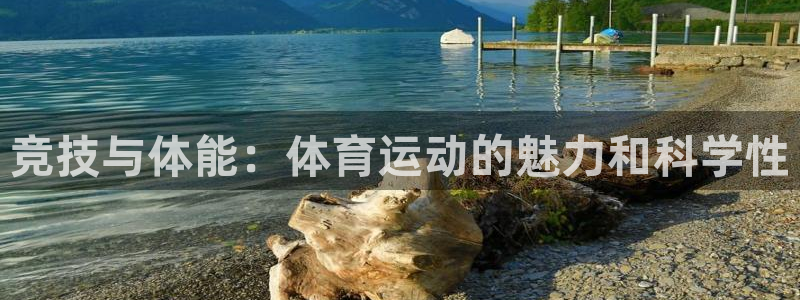 J9官方正版app集团logo:竞技与体能:体育运动的魅力和