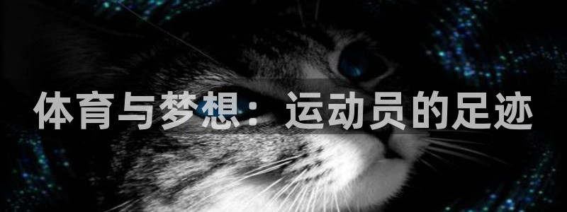 J9官网下载平台注册流程图:体育与梦想:运动员的足迹