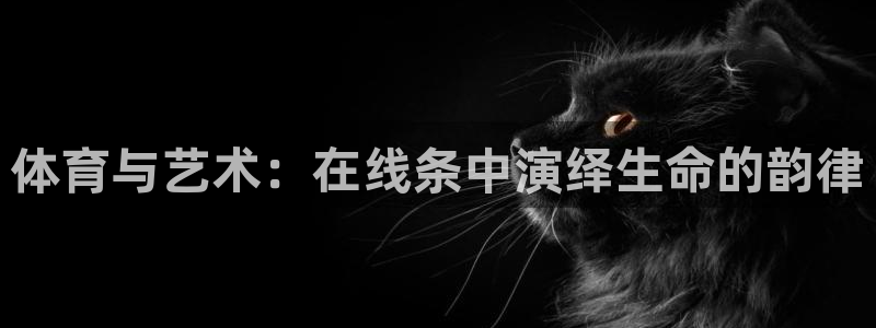 J9官方正版app娱乐下载:体育与艺术:在线条中演绎生命的韵