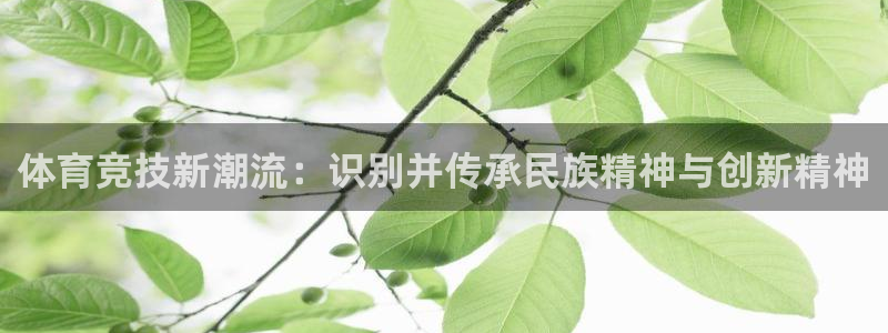 注册J9官方正版app:体育竞技新潮流:识别并传承民族精神与