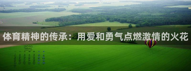 J9官网下载平台是正规平台吗安全吗:体育精神的传承:用爱和勇