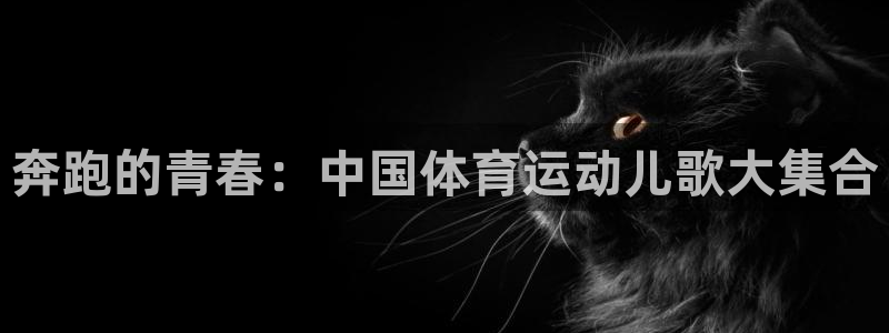 海南J9官网下载发展怎么样:奔跑的青春:中国体育运动儿歌大集