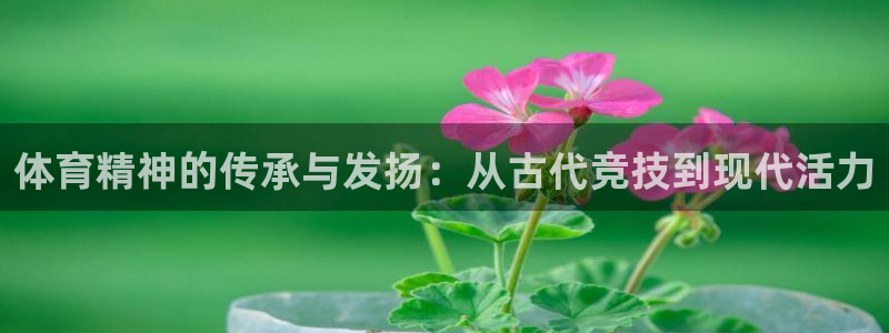 J9官网下载平台是正规平台吗安全吗:体育精神的传承与发扬:从