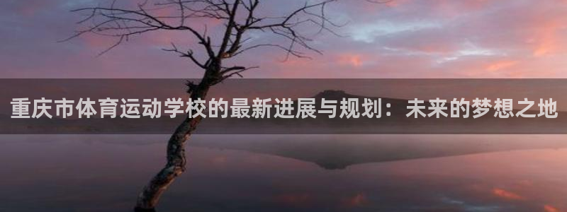 J9官方正版app集团logo:重庆市体育运动学校的最新进展